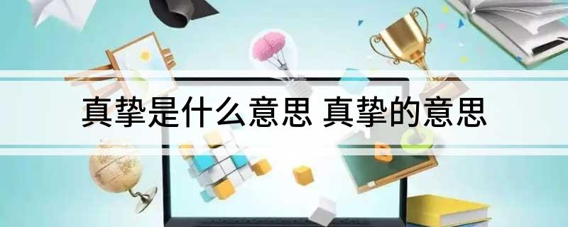 真挚是什么意思(真挚的意思)