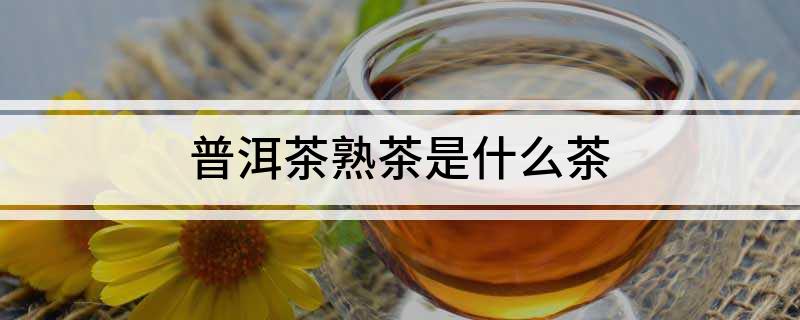 普洱茶熟茶是什么茶
