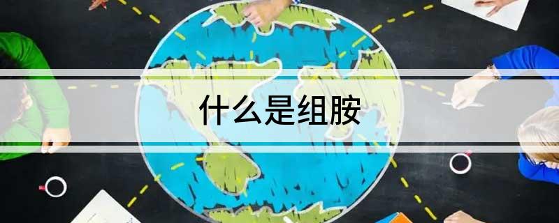 什么是组胺