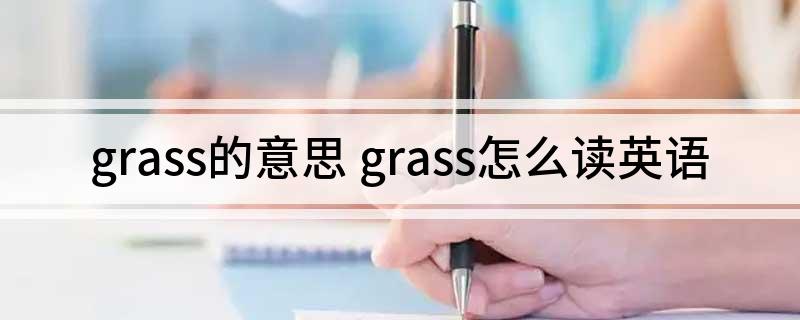 grass的意思(grass怎么读英语)