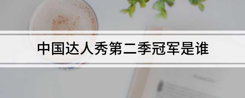 中国达人秀第二季冠军是谁