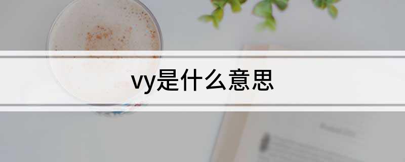 vy是什么意思