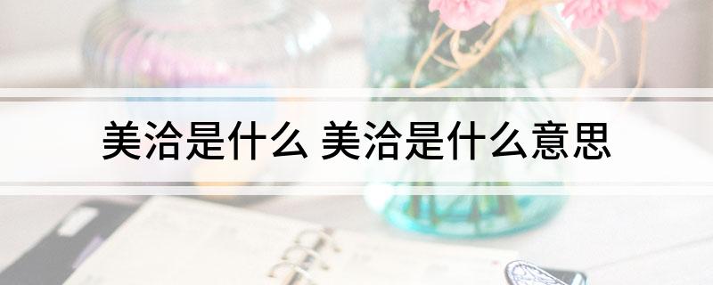 美洽是什么(美洽是什么意思)