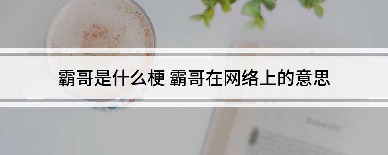 霸哥是什么梗(霸哥在网络上的意思)