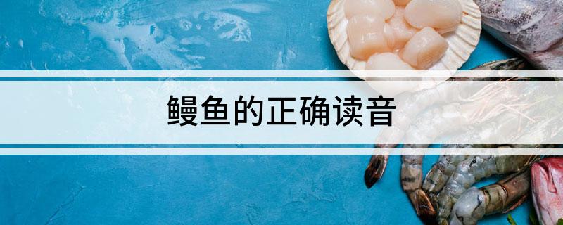 鳗鱼的正确读音