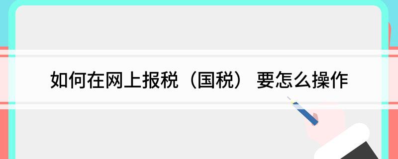 如何在网上报税（国税）
