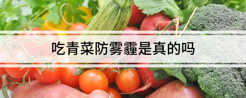 吃青菜防雾霾是真的吗