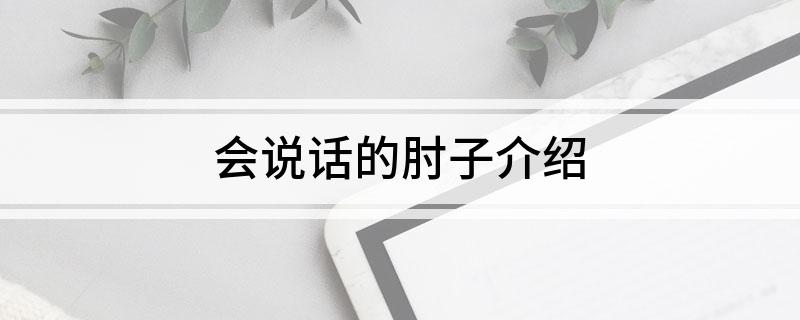 会说话的肘子介绍