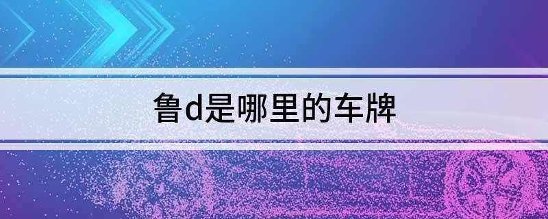 鲁d是哪里的车牌