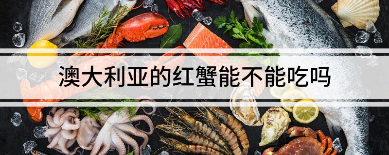 澳大利亚的红蟹能不能吃吗