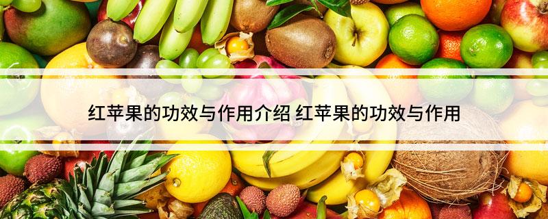 红苹果的功效与作用介绍(红苹果的功效与作用)