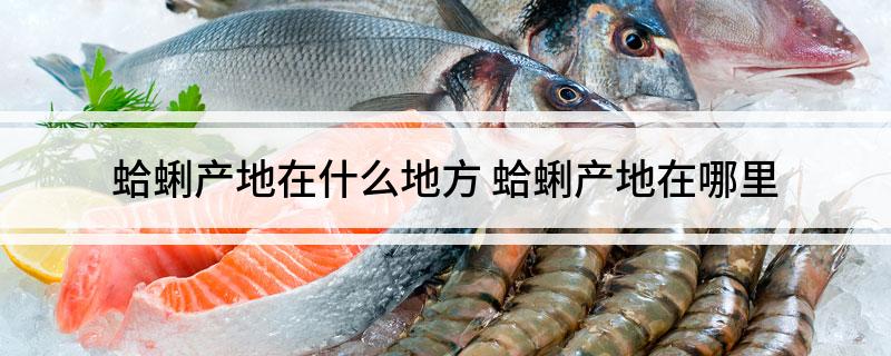 蛤蜊产地在什么地方(蛤蜊产地在哪里)