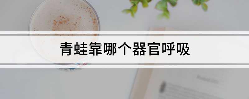 青蛙靠哪个器官呼吸