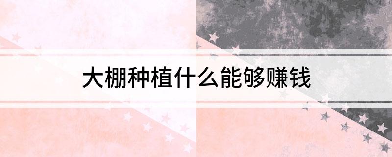 大棚种植什么能够赚钱