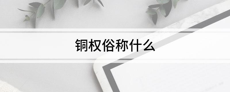 铜权俗称什么