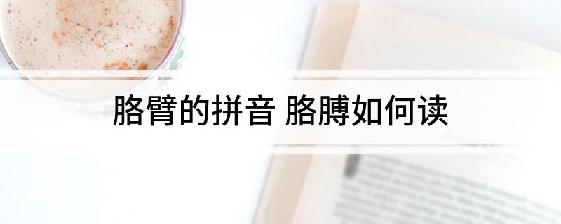 胳臂的拼音(胳膊如何读)