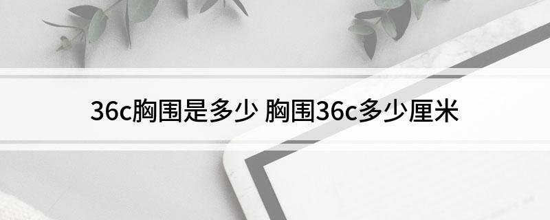 36c胸围是多少(胸围36c多少厘米)