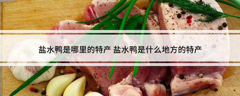 盐水鸭是哪里的特产(盐水鸭是什么地方的特产
