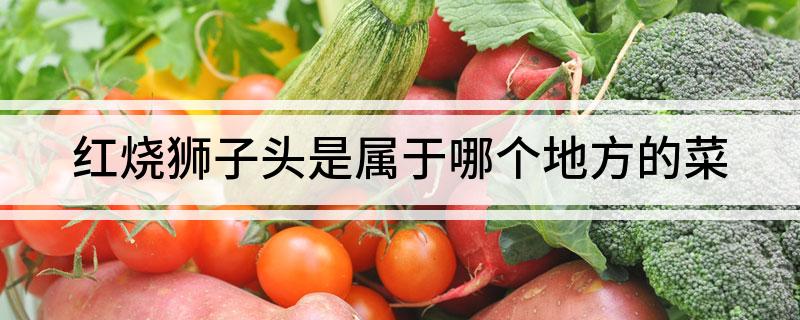 红烧狮子头是属于哪个地方的菜