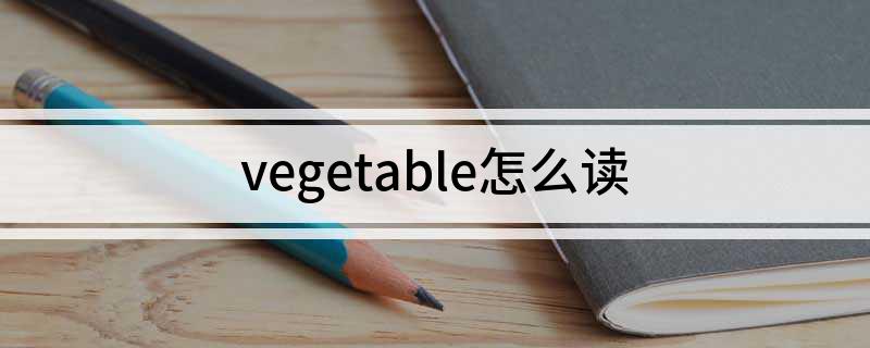 vegetable怎么读(vegetable如何读)
