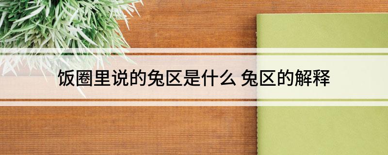 饭圈里说的兔区是什么(兔区的解释)