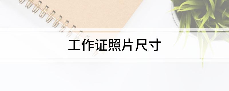 工作证照片尺寸