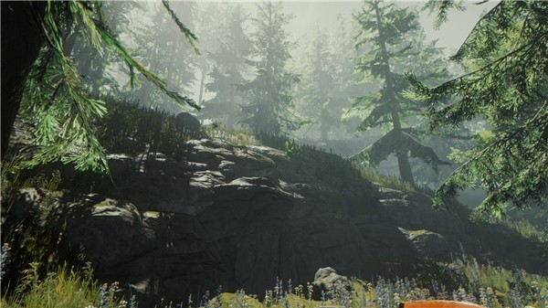 The Forest游戏