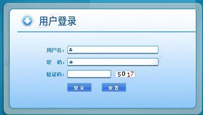 新型农村合作医疗管理系统