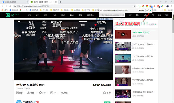 猫爪Chrome插件(视频嗅探器) V5.0吾爱破解版下载(猫爪插件下载)