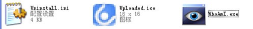 下载解压后的文件