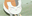 猫咪老师表情包下载 下载