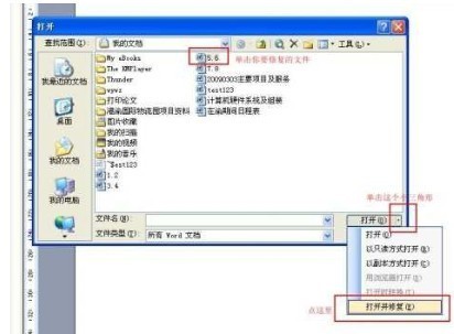 Word文本恢复转换器(绿色版)下载(文本恢复转换器