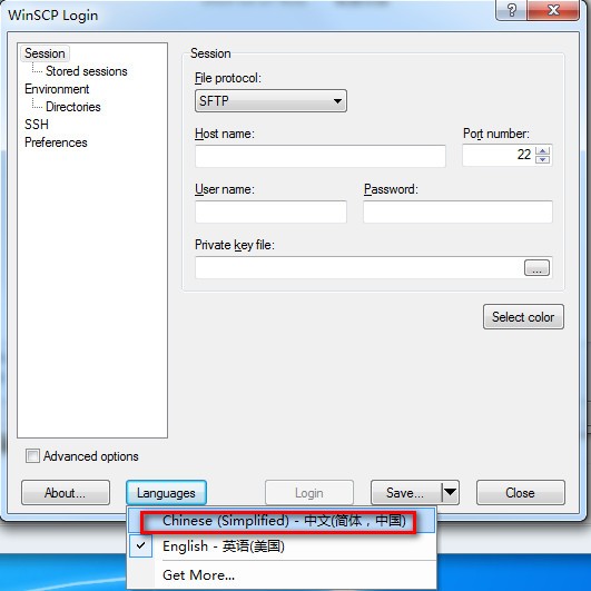 WinSCP中文绿色版 v5.19.5便携版下载(WinSCP绿色版下载)