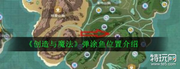 创造与魔法弹涂鱼位置(弹涂鱼在哪)