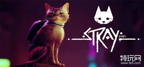 《stray》保险箱密码门禁密码大全