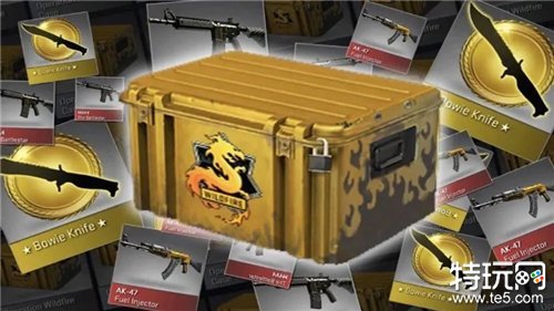 CSGO88dog开箱网站官网在哪(88dog开箱网站官网介绍)