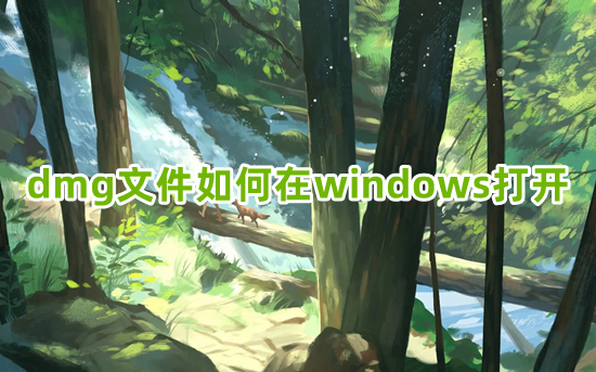 dmg文件怎么在windows打开(dmg文件怎么打开)