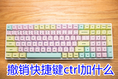 撤销快捷键ctrl加什么(excel取消撤销快捷键ctrl加什么)