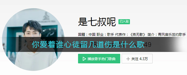 抖音你爱着谁心徒留几道伤是什么歌(你爱着谁心