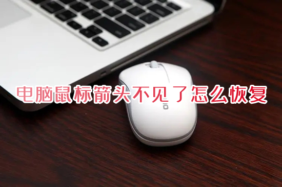 电脑鼠标箭头不见了怎么恢复(屏幕上看不到鼠标箭头怎么办)