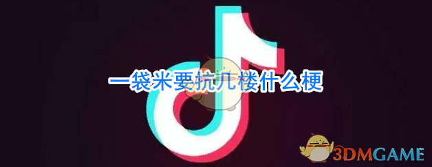 一袋米要抗几楼什么意思(一袋米要抗几楼什么梗)