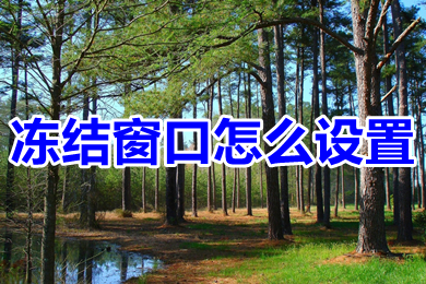 冻结窗口怎么设置(excel表格冻结窗口的设置方法)