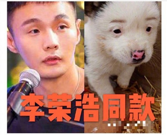 李荣浩同款狗狗什么梗(李荣浩同款狗狗原图分享)