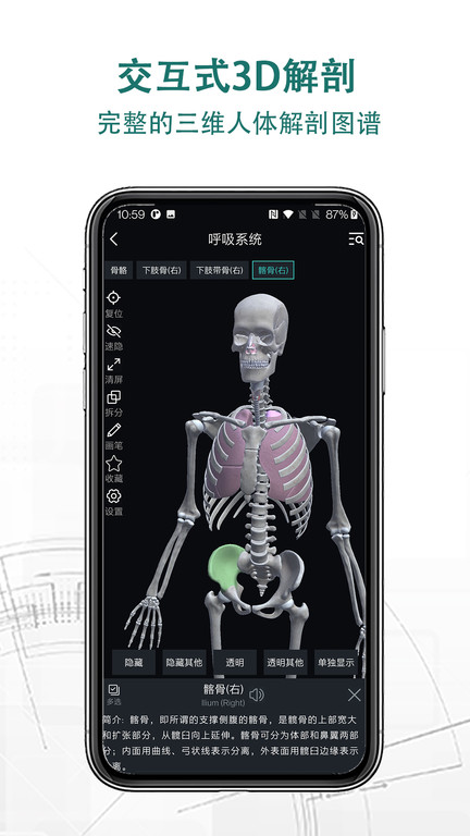 掌上3d解剖app v2.1.1 安卓版 1