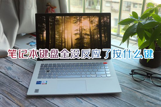 笔记本键盘全没反应了按什么键(笔记本电脑键盘失灵一键修复方法)