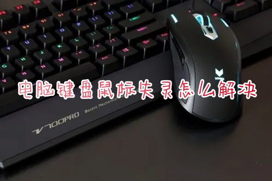 电脑键盘鼠标失灵怎么解决(鼠标键盘没反应怎么办)
