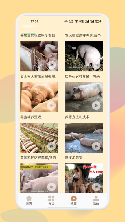 幸福养猪场手机版下载