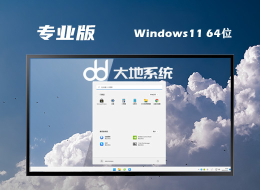 大地系统 ISO Win11 64位 免费专业版系统 v2022.07