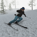 3D滑雪安卓版下载(3D滑雪游戏下载)