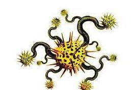 win7系统电脑中了virus.win32病毒怎么解决